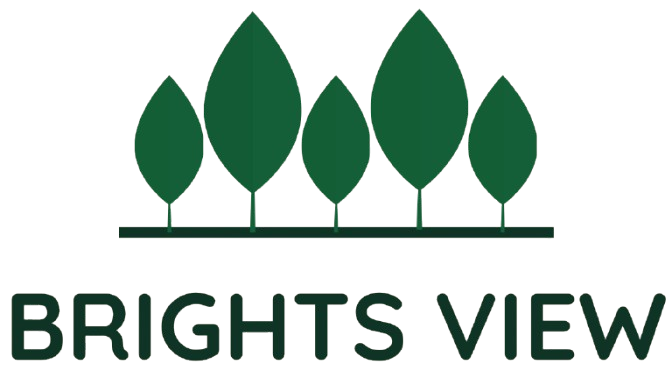 BrightView Logo